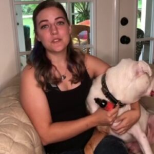 CBD Dog Health Testimony - Cierra's Senior Dogs