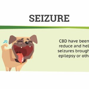 CBD for dogs with aggression