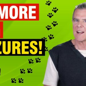 CBD Oil For Dog Seizures (5 Action Steps and 1 AMAZING Remedy)