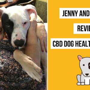 How CBD Helped Finnick’s Anxiety and Allergies - CBD Dog Health Review