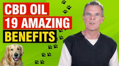 Benefits of Full Spectrum CBD Oil For Dogs (19 CONFIRMED Medical Benefits)