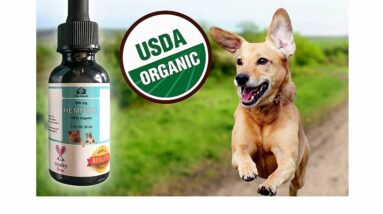 Pet relief CBD oil. Hemp Oil For Dogs