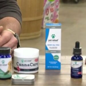 What to know when using CBD with pets