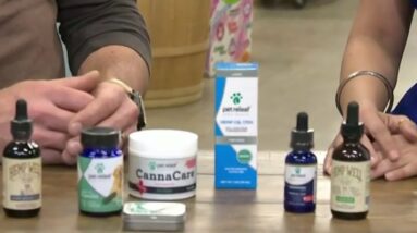 What to know when using CBD with pets