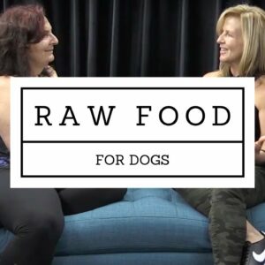Why RAW NUTRITION + CBD is a powerhouse combination for your dog's health!